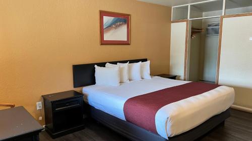 a hotel room with a large bed in a room at Black Canyon Motel in Montrose