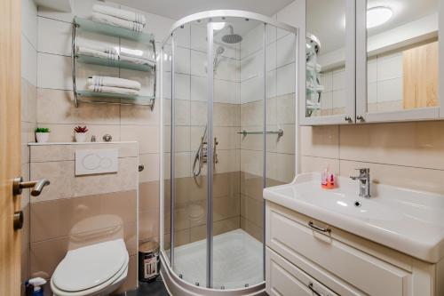 e bagno con doccia, servizi igienici e lavandino. di Apartmaji Hosnar, apartma Lev a Bovec