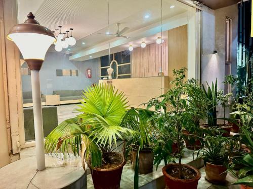 ein Zimmer mit Topfpflanzen auf einem Tisch mit einer Lampe in der Unterkunft Hotel Volga in Ahmedabad