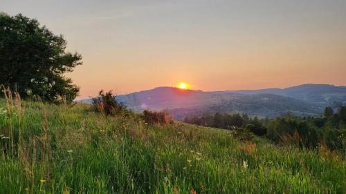 a sunset on a hill with a field of grass at Etno meandri Uvca in Sjenica