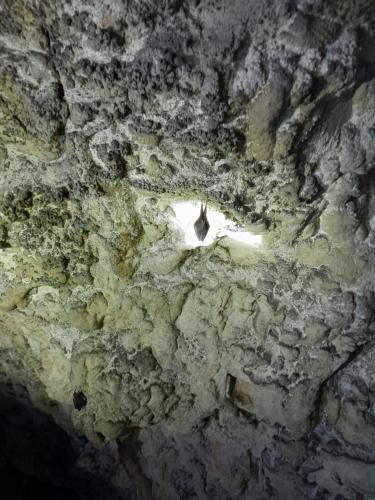 a stone cave with a light in the middle at Etno meandri Uvca in Sjenica