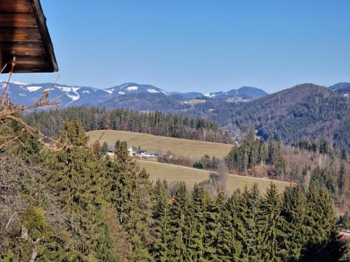 a view of a forest of trees and mountains at Natur- & Erlebnis Ferienhaus in Voitsberg