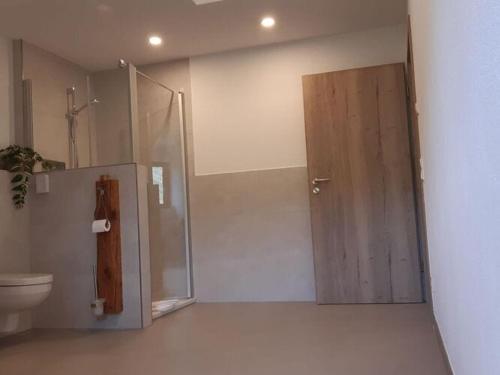 uma casa de banho com um chuveiro, um WC e uma porta em Holiday apartment wine bar em Königheim