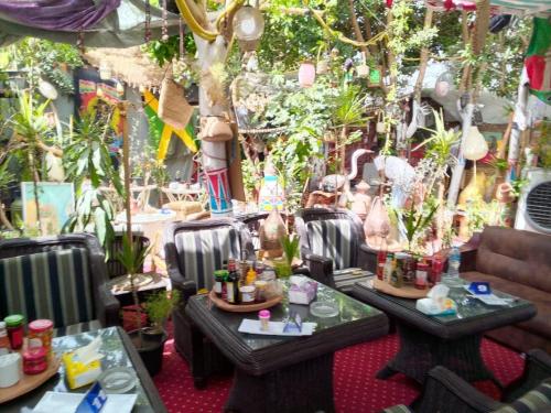 ルクソールにあるpeace garden hostel & campの植物が飾られた二つのテーブルのある部屋