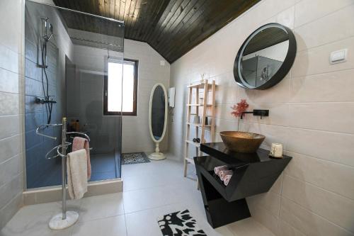 a bathroom with a shower and a sink and a mirror at Villa Mina Kladovo, entire charming house with 5 bedrooms in Kladovo