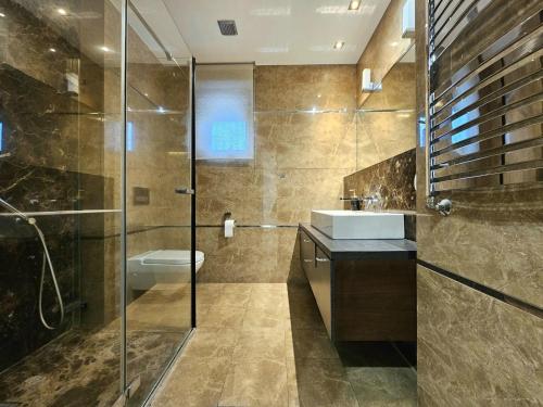 ein Badezimmer mit Dusche, Waschbecken und Toilette in der Unterkunft Dom z Basenem i Sauna Zewnętrzna in Jaszkotle