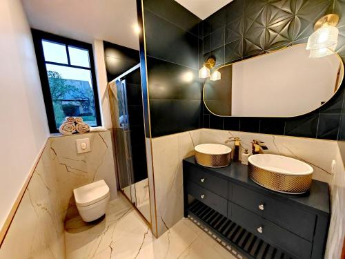 ein Badezimmer mit Waschbecken, Toilette und Spiegel in der Unterkunft Domaine de L'isle Maniere in Saint-Quentin-sur-le-Homme