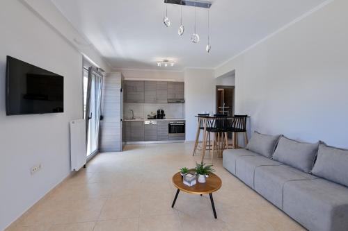 Meda Suite