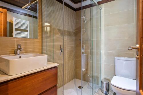 a bathroom with a shower and a sink and a toilet at Luderna - Apartamento Val de Ruda A14 Montoliu in Baqueira-Beret