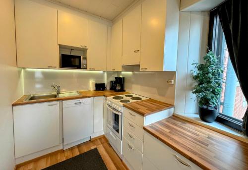 Η κουζίνα ή μικρή κουζίνα στο Pine Sky Apartments
