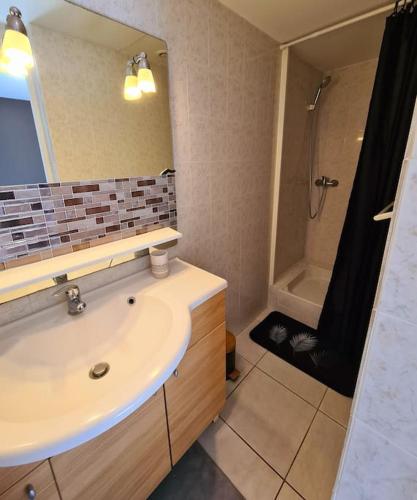 une salle de bain avec un lavabo et une douche dans l'établissement Gîte de 70m² avec vue sur le massif du Pilat, à Clonas-sur-Varèze