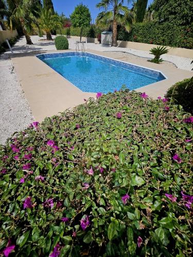 a swimming pool with purple flowers in front of it at Modern 3 bedroom villa, pool and close to golf course in Paphos City