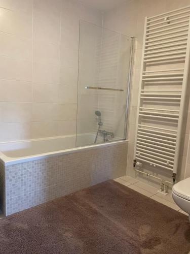 een badkamer met een bad en een toilet bij Robertsau, jardin en ville in Straatsburg