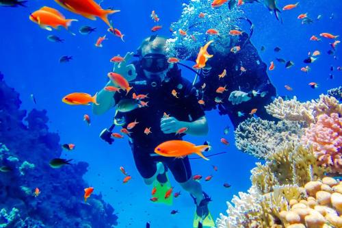 einen Taucher im Meer mit Fisch in der Unterkunft Ô Bleu Azur in Antsatrakolo