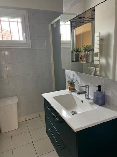 une salle de bain avec un lavabo et un miroir dans l'établissement Maison spacieuse proche Paris, à Bonneuil-sur-Marne