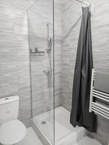 une salle de bain avec une douche en verre et des toilettes dans l'établissement T2 moderne, calme et entièrement rénové., à Béziers