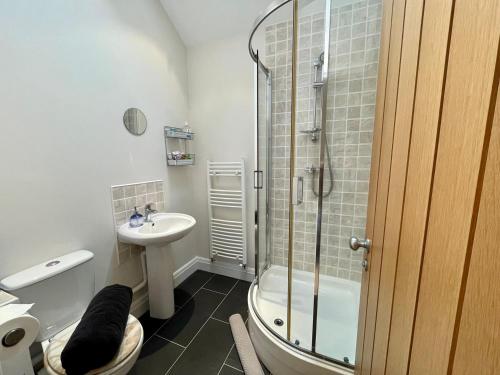 a bathroom with a shower and a toilet and a sink at Cosy barn with views in Wick Vale of Glamorgan in Wick