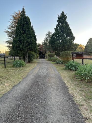 a gravel road with trees on either side of it at SERENITY STAY in Bethlehem