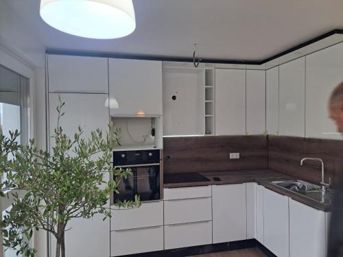 una cocina con armarios blancos y una planta en Marko's Wohnung en Rudersberg