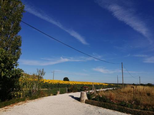 un camino de tierra frente a un campo de girasoles en Chambres Rozies Dunes, en Dunes