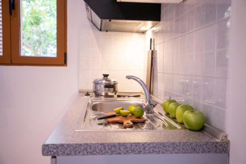 Kuchyň nebo kuchyňský kout v ubytování Anesis Apartments