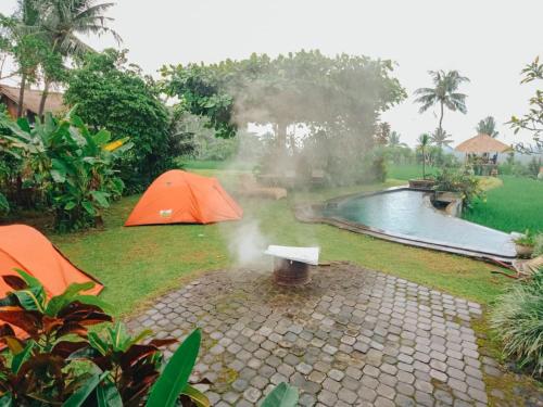 a garden with an orange tent and a swimming pool at Pondok Apsari 2 in Singaraja