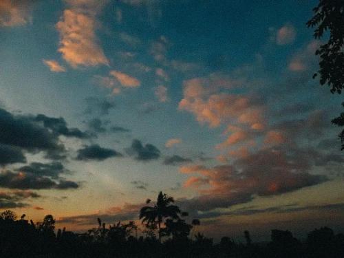 a cloudy sky with a palm tree in the foreground at Pondok Apsari 2 in Singaraja