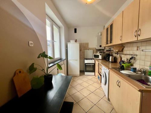 uma cozinha com um frigorífico branco e um lavatório em BESKID HOME em Bielsko-Biala