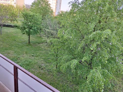 a balcony with a view of a yard with trees at Apartament Rubinowy in Toruń