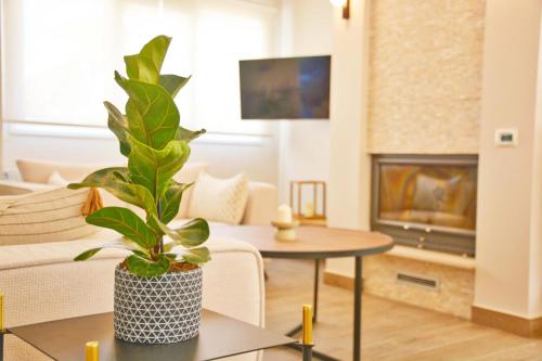 una sala de estar con una planta sobre una mesa en Minerva Estate Corfu, en Alepochórion