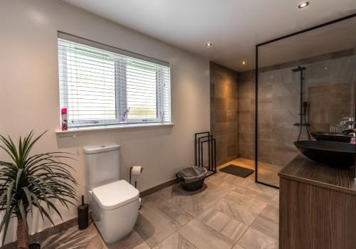 a bathroom with a toilet and a sink and a shower at Shoreland Lodges - Holly Lodge in Fort Augustus