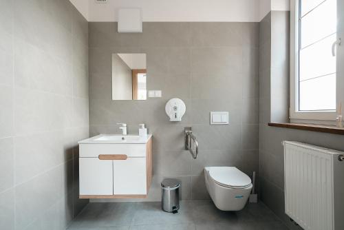 a bathroom with a toilet and a sink and a mirror at Przystań Jeziorany - willa nad jeziorem - Warmia i Mazury in Jeziorany