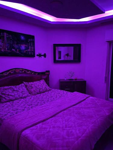 ein violettes Schlafzimmer mit einem Bett mit einer violetten Decke in der Unterkunft Falcon homes in Amman