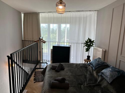 a bedroom with a bed in front of a window at Apartamenty Zamość Sienkiewicza in Zamość