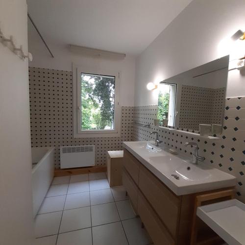 une salle de bain avec une baignoire, un lavabo et un miroir dans l'établissement Le Mas David, à Vézénobres