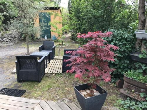 Un jardín fuera de Gîte Le Cabanon