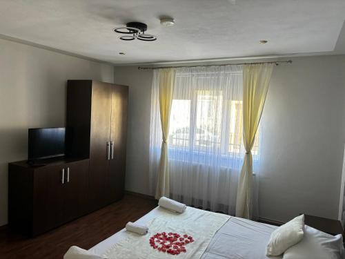 ChişcăuにあるCasa Otiliaのギャラリーの写真