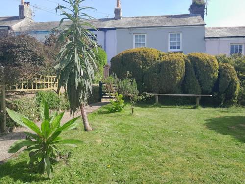 a house with a palm tree in the yard at The Captain's House Charlestown St Austell in Charlestown