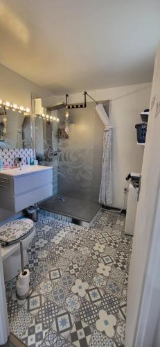 ein Bad mit einer Dusche, einem Waschbecken und einem WC in der Unterkunft Pierres de Jade Maison de vacances en residence avec piscine in Saint-Cyprien