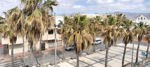 a group of palm trees in front of a building at PENSION NAVAS in El Cabo de Gata