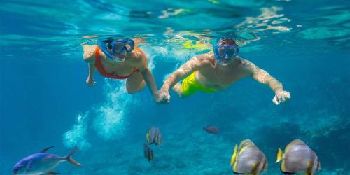 two people swimming in the water with fish at Ô Bleu Azur in Antsatrakolo