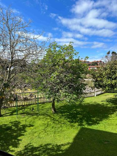 a tree in the middle of a green field at Hospedaje de La Hoz in Isla