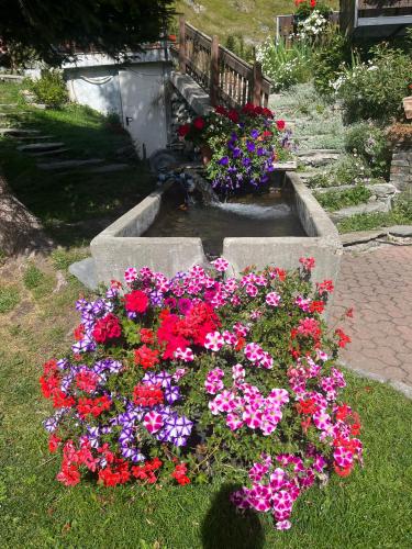 a bunch of colorful flowers in a garden at Hotel Granta Parey in Rhêmes-Notre-Dame
