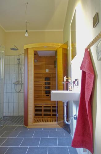a bathroom with a shower with a sink and a mirror at FEWO mit Sauna & Gartenblick in Neustadt in Sachsen