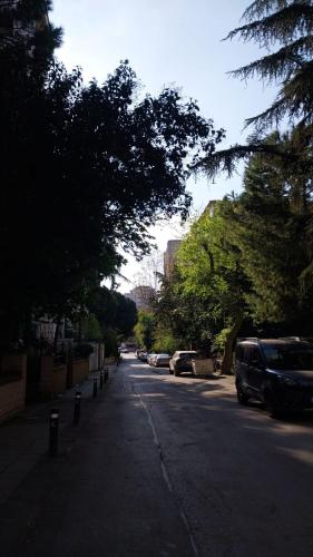 eine Straße mit am Straßenrand geparkt in der Unterkunft Flat Kavisli in Istanbul