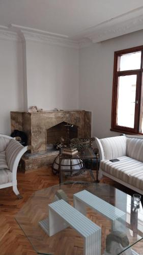 sala de estar con 2 sofás y chimenea en Flat Kavisli en Estambul