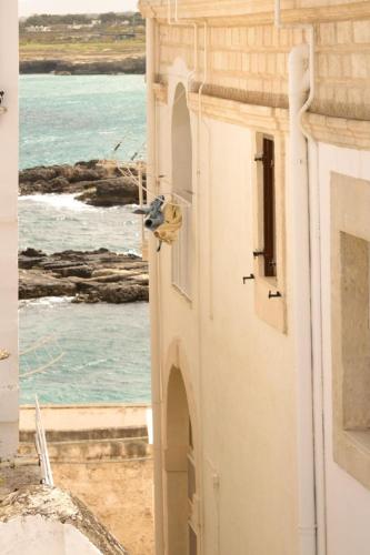 a building with a bird looking out of a window at Suite Dolce Vita in Monopoli
