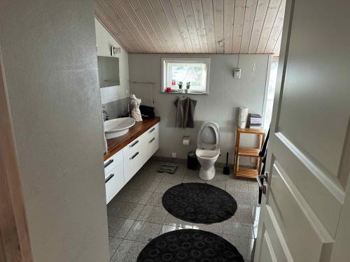 uma pequena casa de banho com WC e lavatório em Luxury House, Spa-sauna, Pool, Carcharger, River em Fårvang