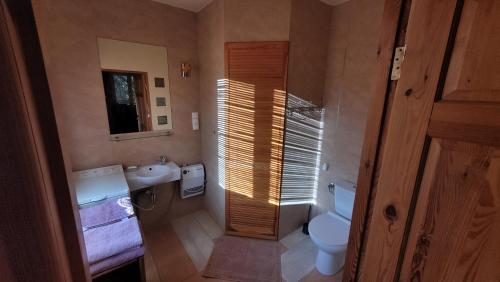 een badkamer met een toilet en een wastafel bij Dzikie wino in Budry