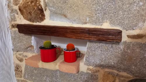 two cacti in red cups on a stone wall at B&B Santu Giuvanni "Un tuffo nel passato Fonnese" in Fonni